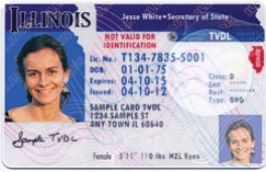 illinois drivers license font